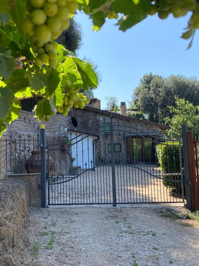Casetta Santa Fortunata Guest House Sutri Exterior photo